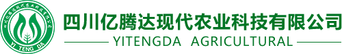 九游娱乐充值官网入口